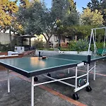 Dell'orsa