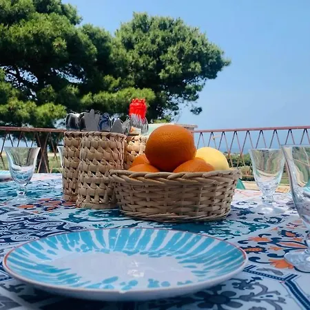Dell'orsa *